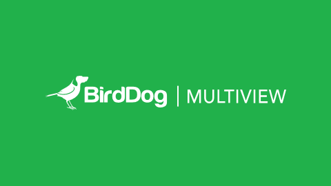 BirdDog Multiview